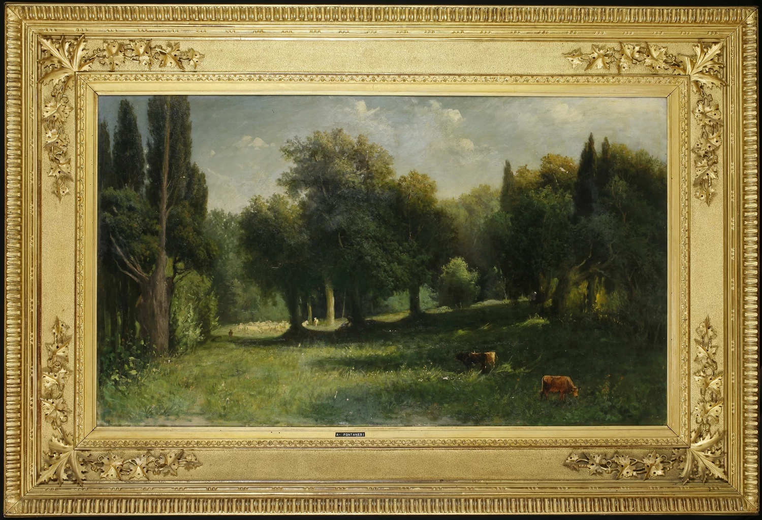 Animali al pascolo - Collezione beni confiscati Campolo, Reggio Calabria